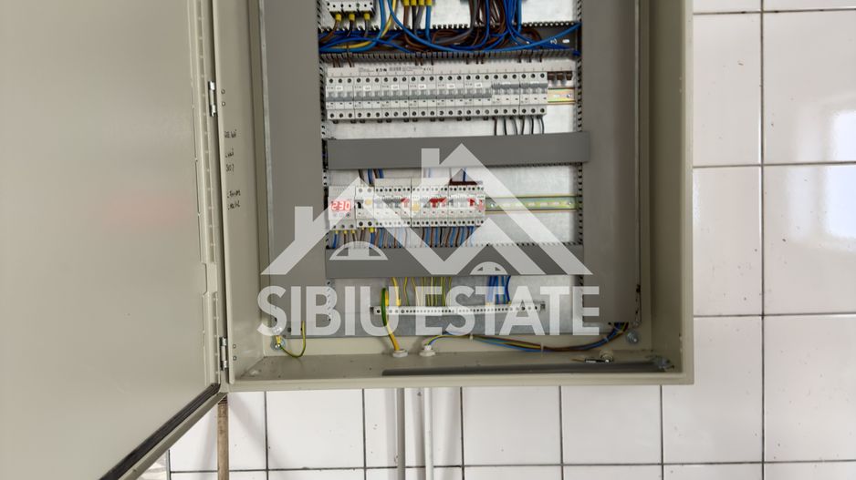Spatiu productie zona Selimbar, pretabil alimentatie, productie - Poză 5