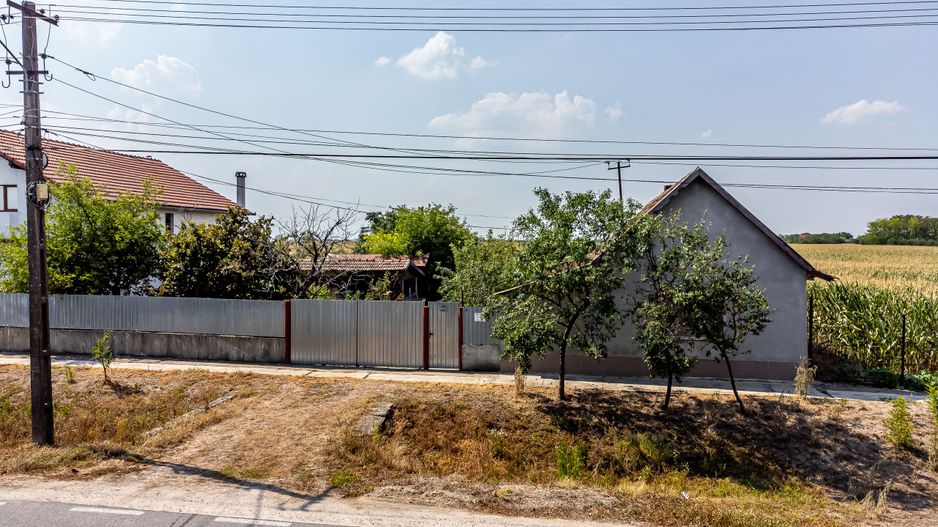 Casă Variasu Mare Jud. Arad cu teren 16883 mp - Poză 4