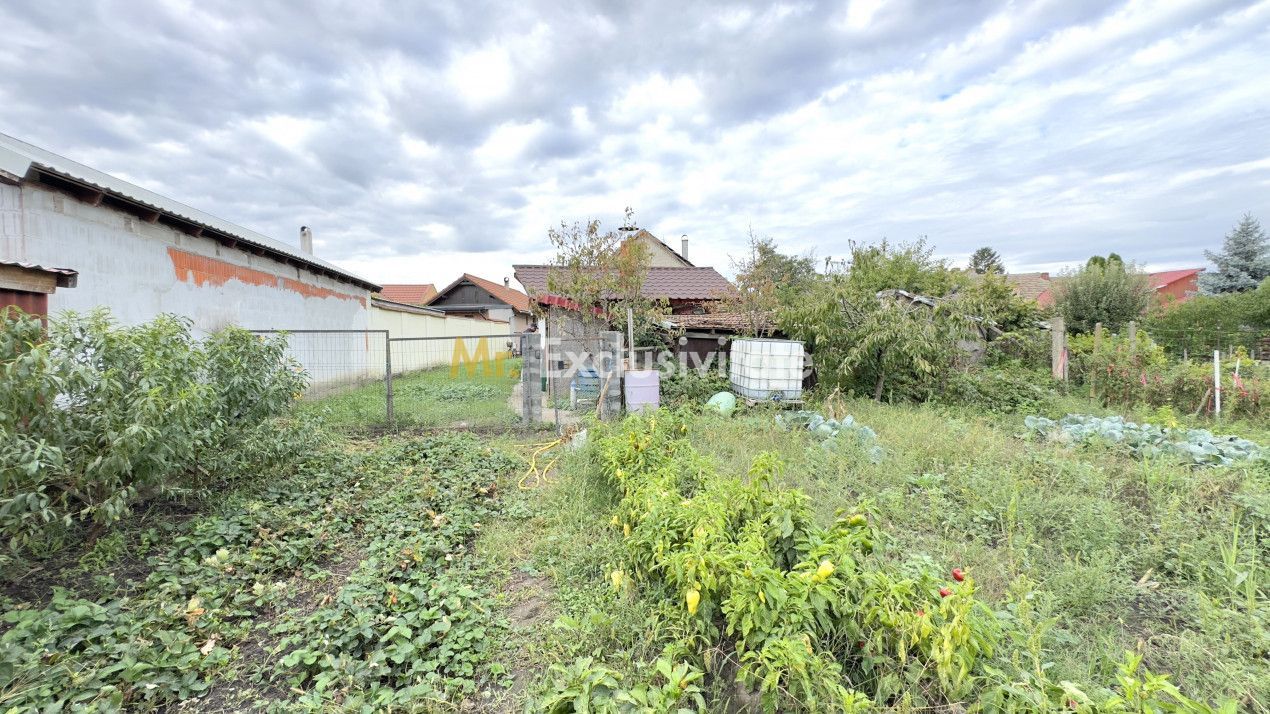 Casă 3 camere, Teren 3.263 mp, Str.Mărășești Nr.16 -Carei-Comision 0% cumpărător - Poză 20
