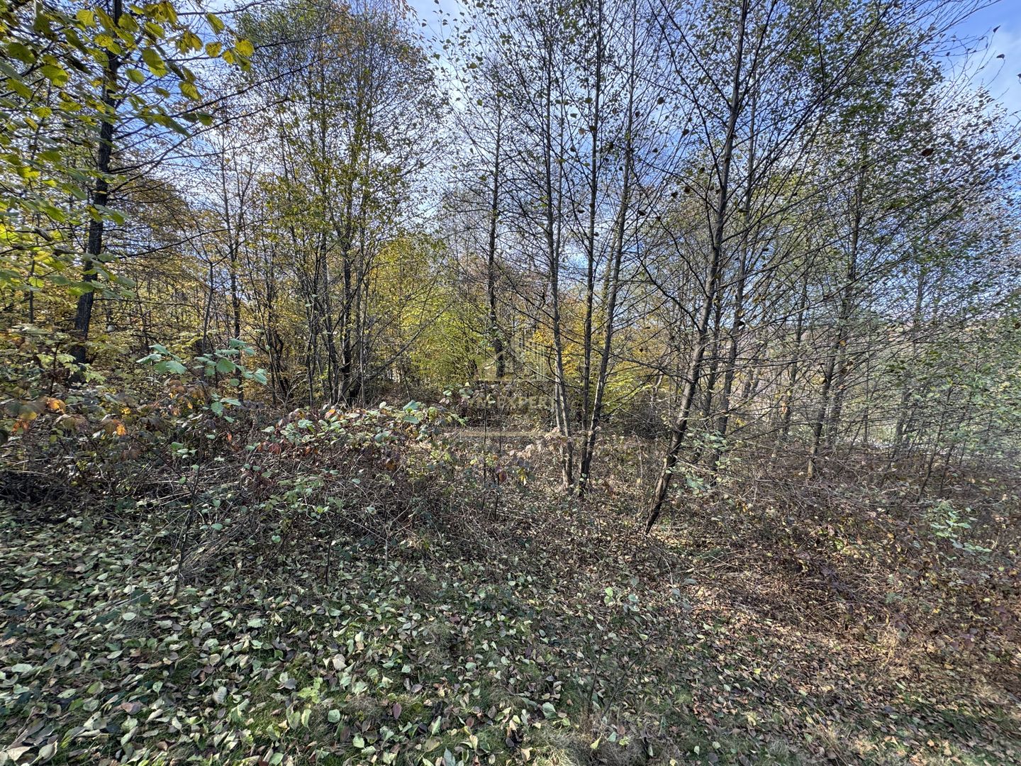 TEREN INTRAVILAN 13167 MP BUGHEA DE SUS ARGES - Poză 30