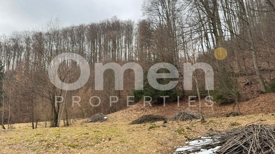 Teren extravilan de vânzare | 1402 mp | Blidari | zonă superbă - Poză 2