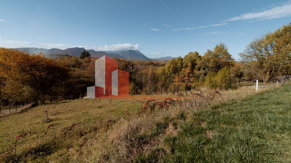 Casa de vacanta Sohodol - Poză 20