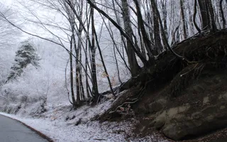 Teren de vanzare I izvor apă minerală  Dangești I 2 Hectare - Poză 22