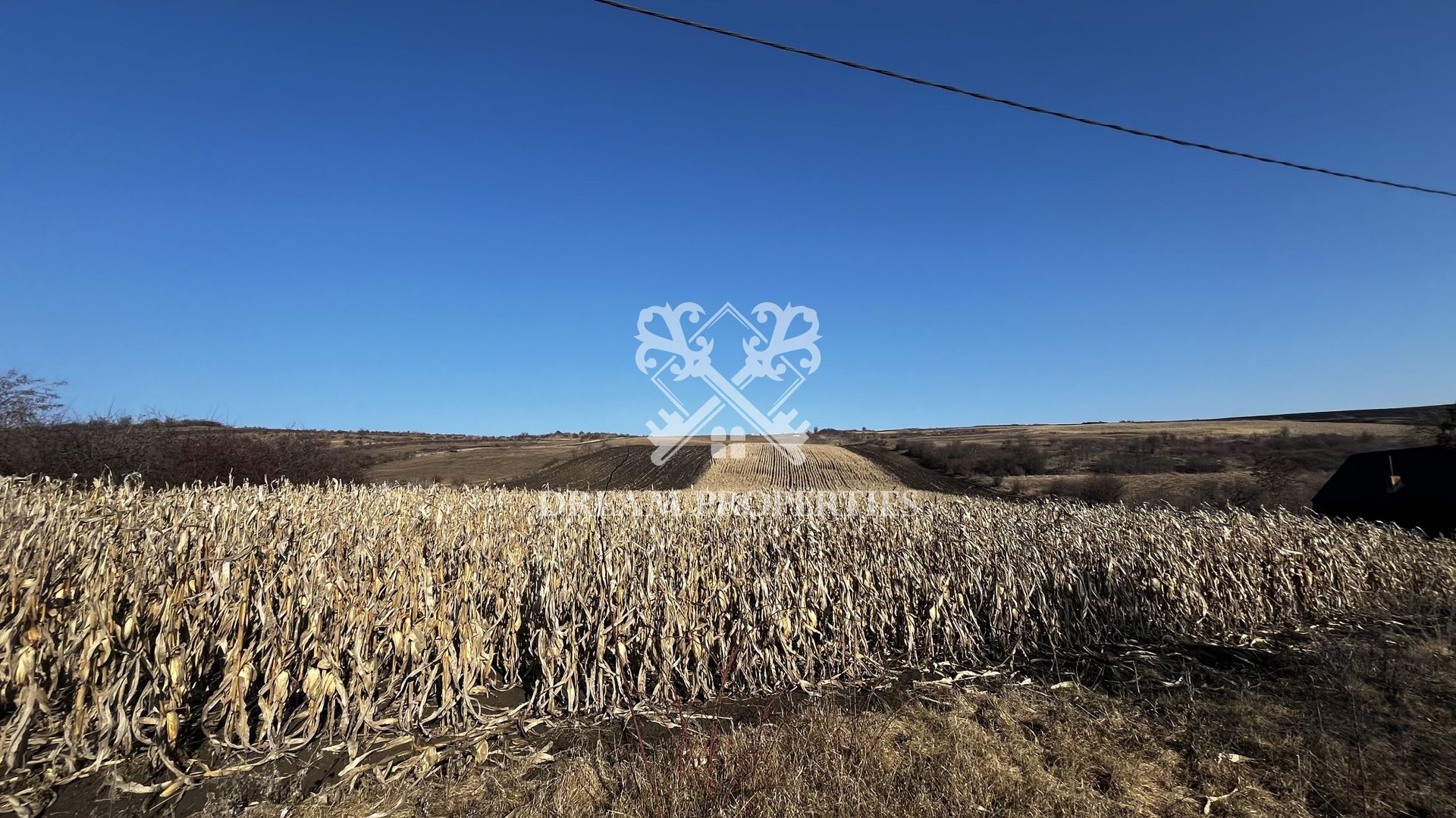 Oportunitate investitie! Teren extravilan Valea Fanatelor, 1ha - Poză 1