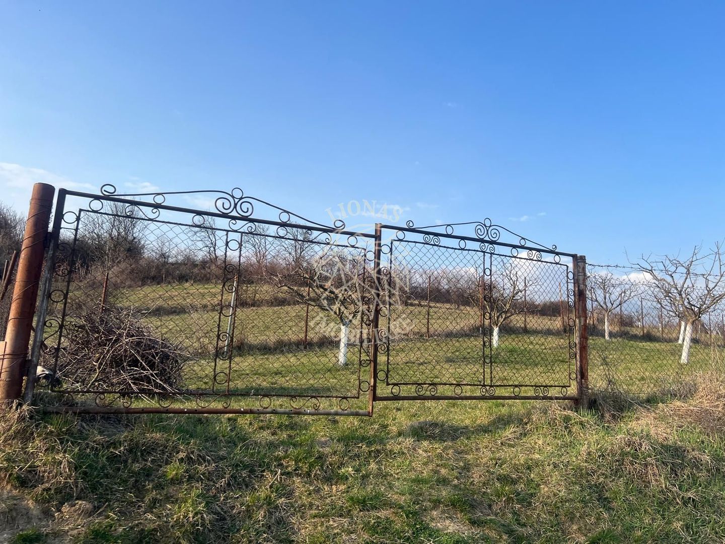 Teren 3100 mp-livada-ideal casa-Mititei - Poză 4