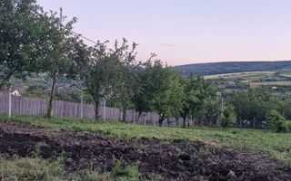 Teren intravilan de vanzare, Chicerea, 740 mp, strada Canarului, Tomesti - Poză 10