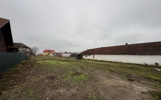 Teren Intravilan Becicherecu Mic 750mp,Utilitatile In Fata Parcelei,Asflat - Poză 3