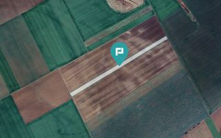 Teren 30.000 mp la drum asfaltat – Peciu Nou - Poză 4