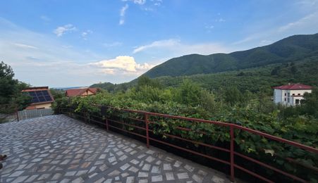 Casa 4 camere teren 3825 mp Cisnadioara