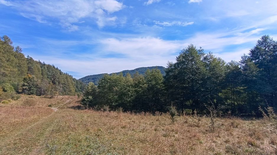 teren in zona Bradet-Sacele - Poză 9