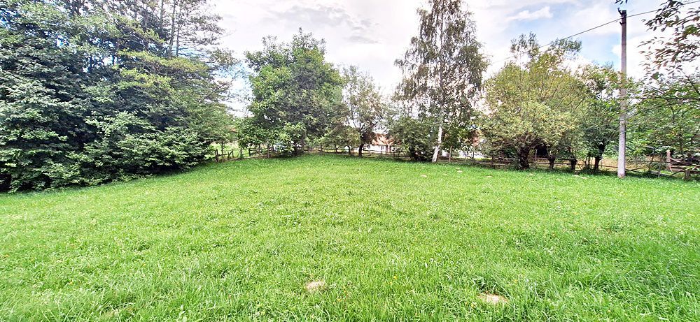 Bran Predelut teren intravilan de 2000mp, pret 27 euro/mp - Poză 15