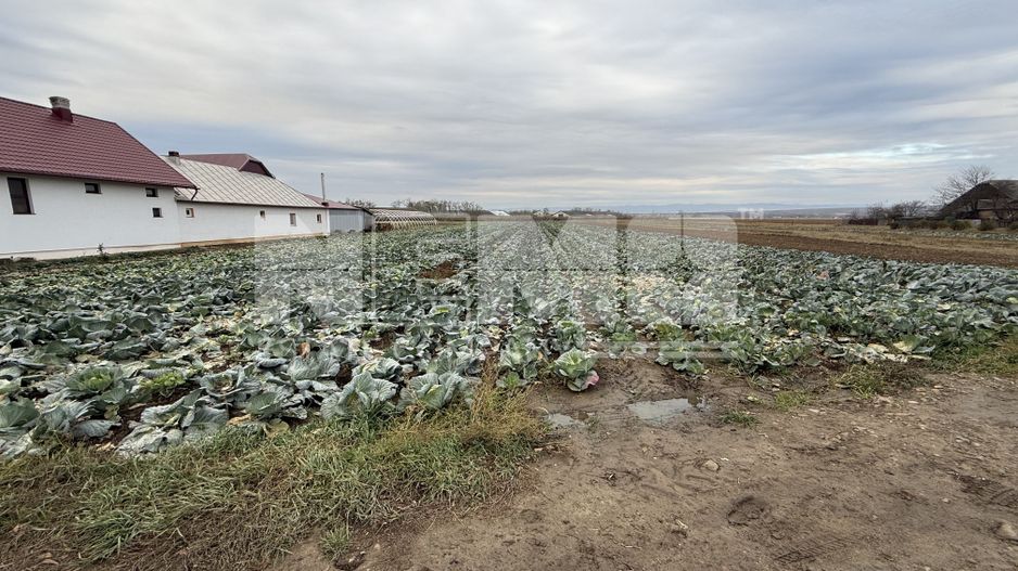 Teren 9.000 mp | Milișăuți | Intravilan | Front 38 m | 149.000 € - Poză 1