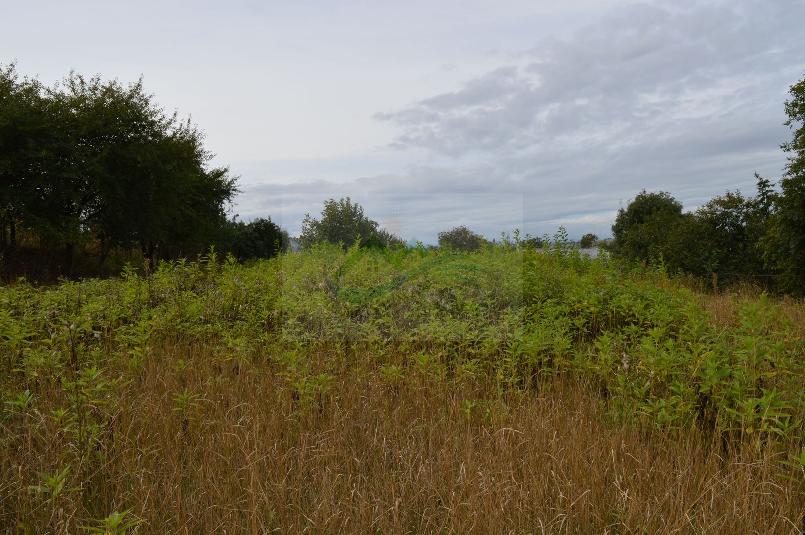 Casă de vânzare în Sfântu Ilie și teren 2000 mp - Poză 48