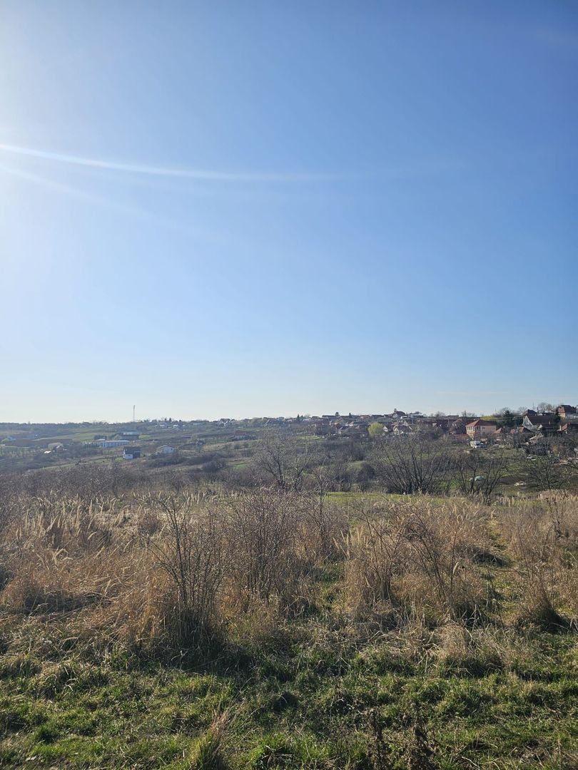 Teren intravilan Saldabagiu de Munte 850 mp - Poză 3