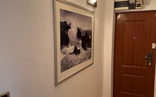 Parcul Botanic - Iulius MAll; 2 camere - Poză 11