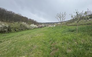 Teren intravilan Deva- Roci - Poză 2