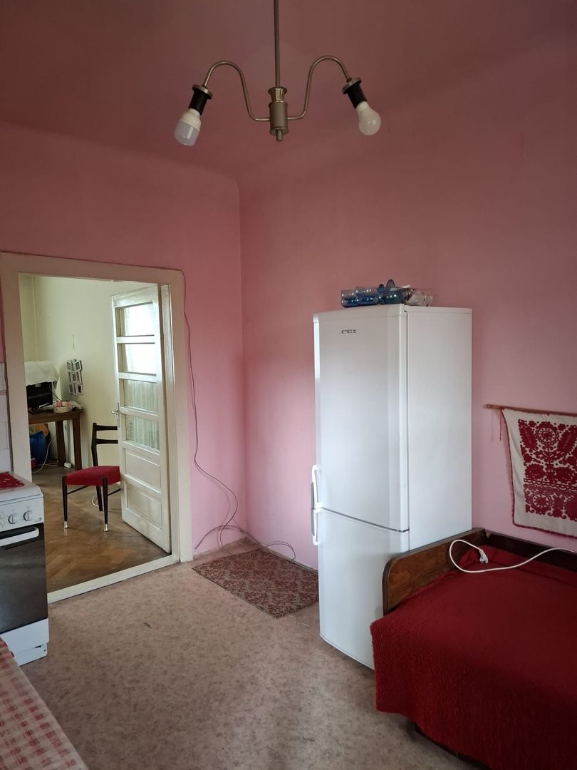 Apartament tip studio cu gradina Gruia strada Migdalului - Poză 3