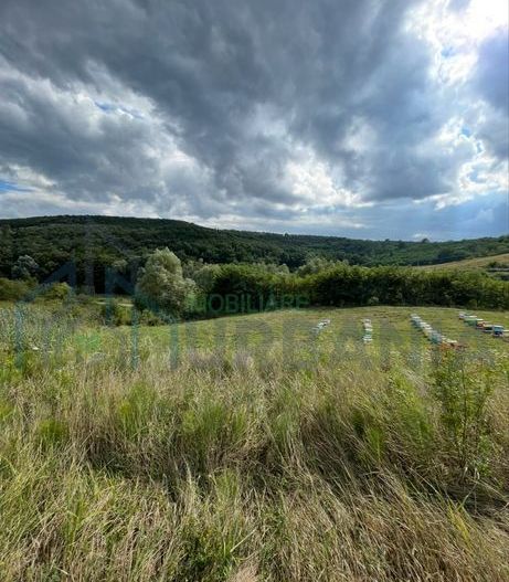 De vanzare teren in comuna schitu duca cu iaz de peste si salcami - Poză 3