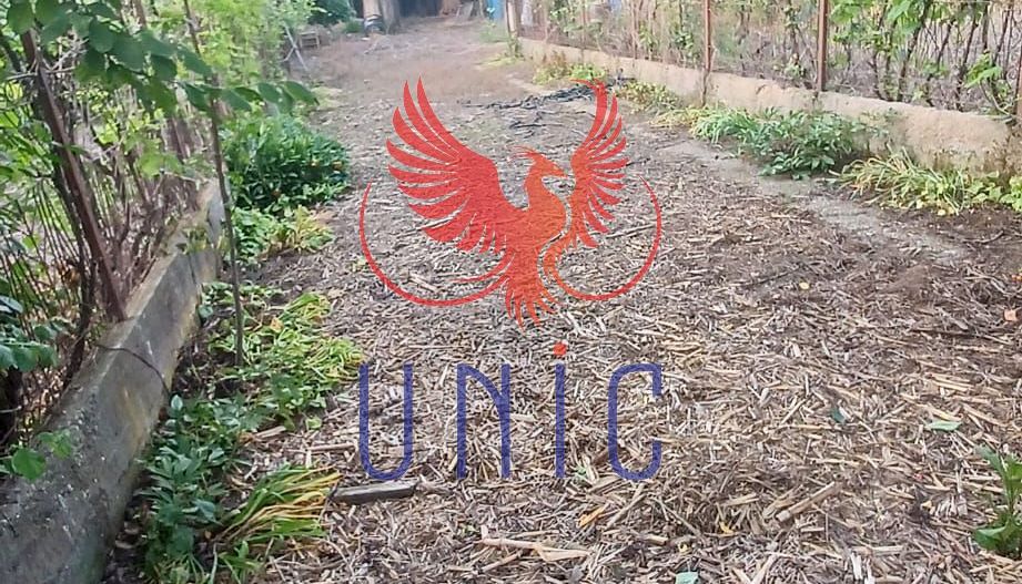 Casa cu teren de 1969 mp - Amarastii de Jos - Poză 7