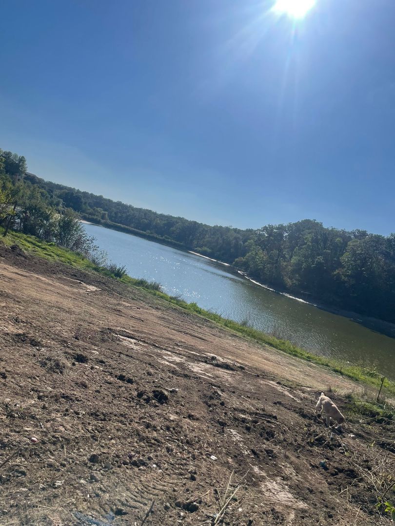 6300 mp teren Pasarea cu deschidere la lac - Poză 4