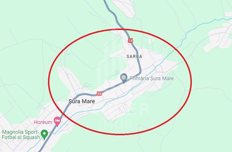 Teren intravilan 1.000 mp | Șura Mare - Poză 3