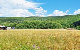 La 24 km de Brasov teren superb de 2010mp cu utilitati - Poză 3