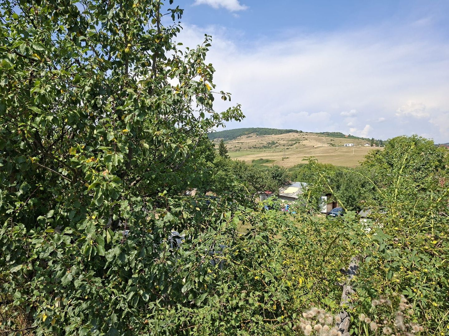 Teren de vanzare in Valcele - Poză 4