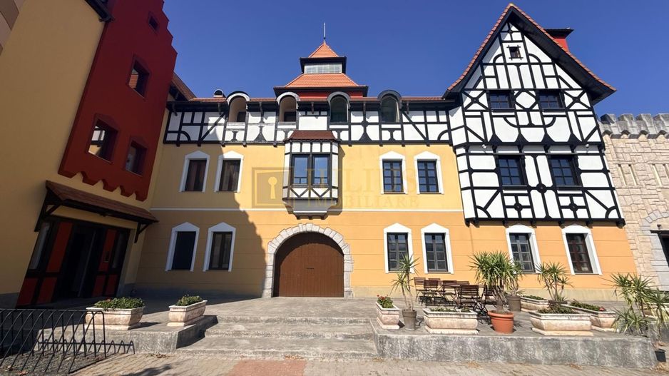 Mosnita Noua-Castel Royal| 2 camere| stil bavarez din lemn si piatra naturala - Poză 16