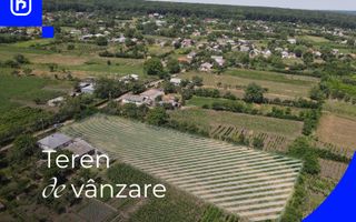 Teren - Ionășeni | BOTOȘANI | 3.285mp - Poză 1