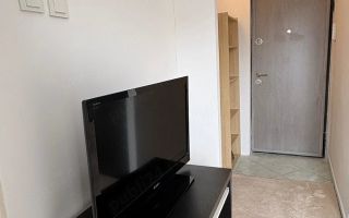 VANZARE GARSONIERA LUMINOASA | 22 MP | ETAJ 4/10 | ZONA TEIUL DOAMNEI - Poză 2