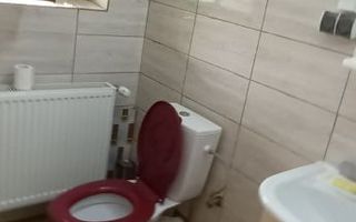 Vila de vanzare|7 camere| 774 mp teren| Snagov| Ocazie! - Poză 17