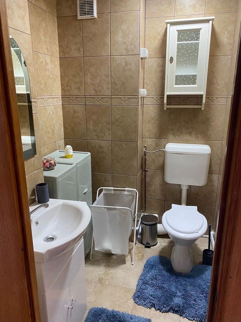 Vacaresti // reabilitat // centrala proprie - Poză 10