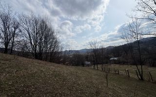 Teren 6040 mp la baza pădurii deschidere 40 ml - Poză 9