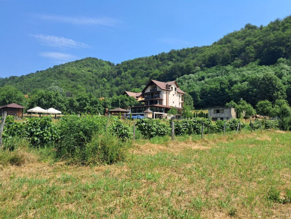TEREN INTRAVILAN POLOVRAGI - Poză 7