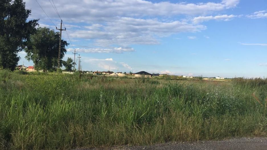 Teren intravilan in comuna Domnesti - sat Teghes - Poză 4