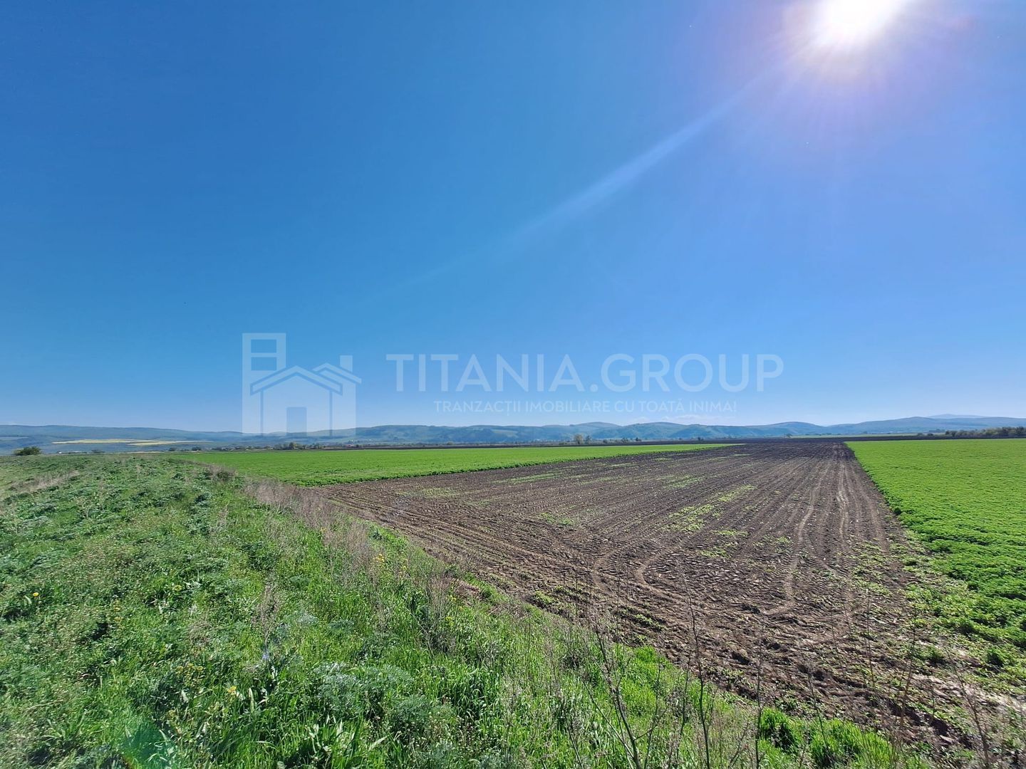 Teren extravilan, 8700 mp, pretabil agricultură sau investiție - Bod - Poză 9