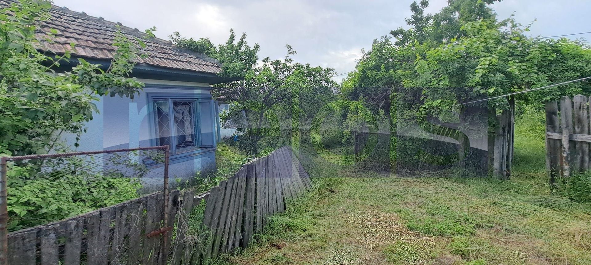 VANZARE CASA | TEREN 2500 MP | LIVADA SI VIE | SAT BREBINA – SCRIOASTEA - Poză 5