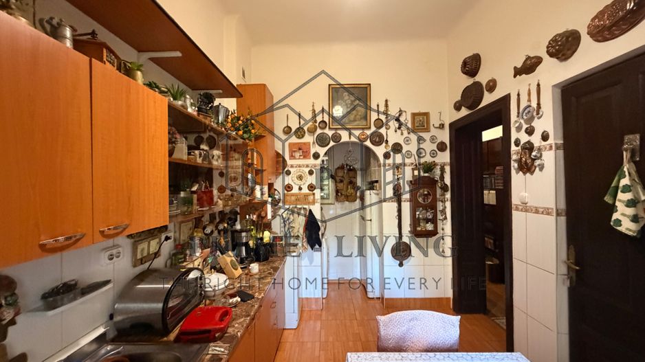 APARTAMENT PARTER + DEMISOL LA VÂNZARE ÎN ZONA VICTORIEI - Poză 10
