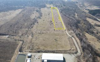 Teren extravilan 6.500 mp – Cârțișoara | Comision 0% - Poză 1