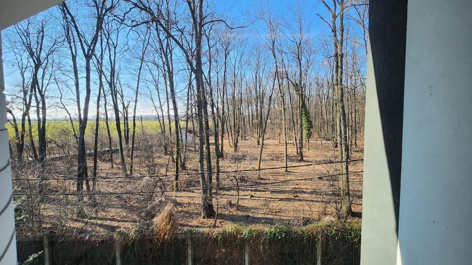 Vila individuala strada Radarului la padure - Poză 17