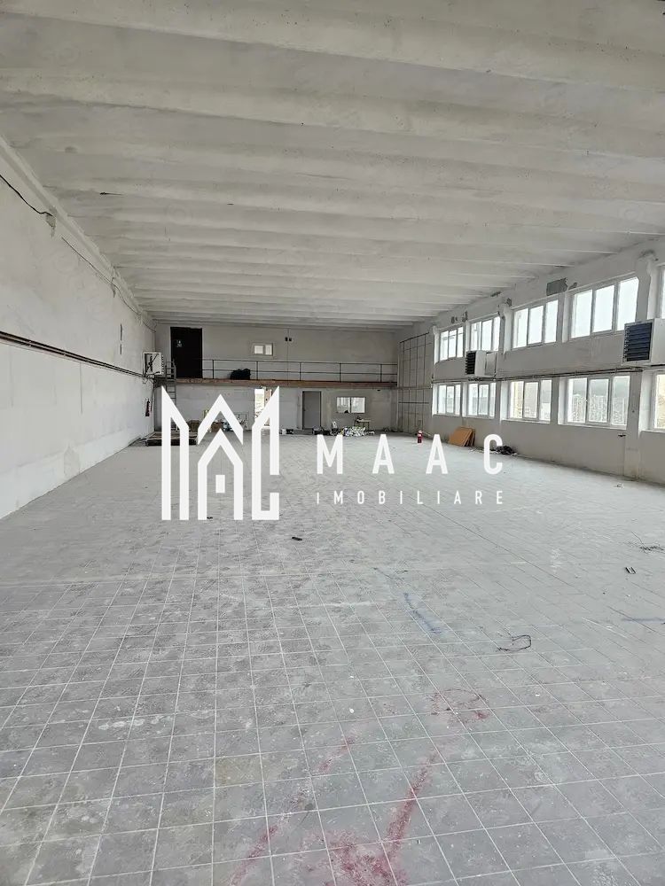 Hala I Spatiu Comercial I Nocrich - Poză 3
