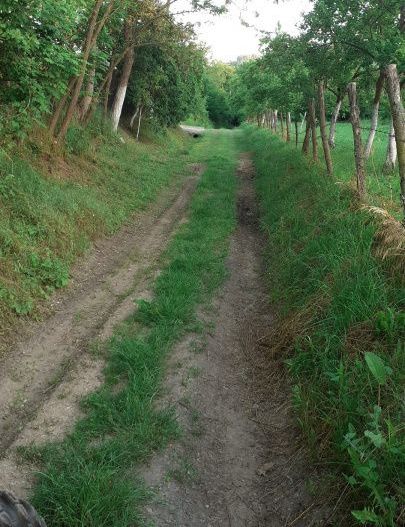Teren extravilan Pitesti - str. Balotesi!! - Poză 5