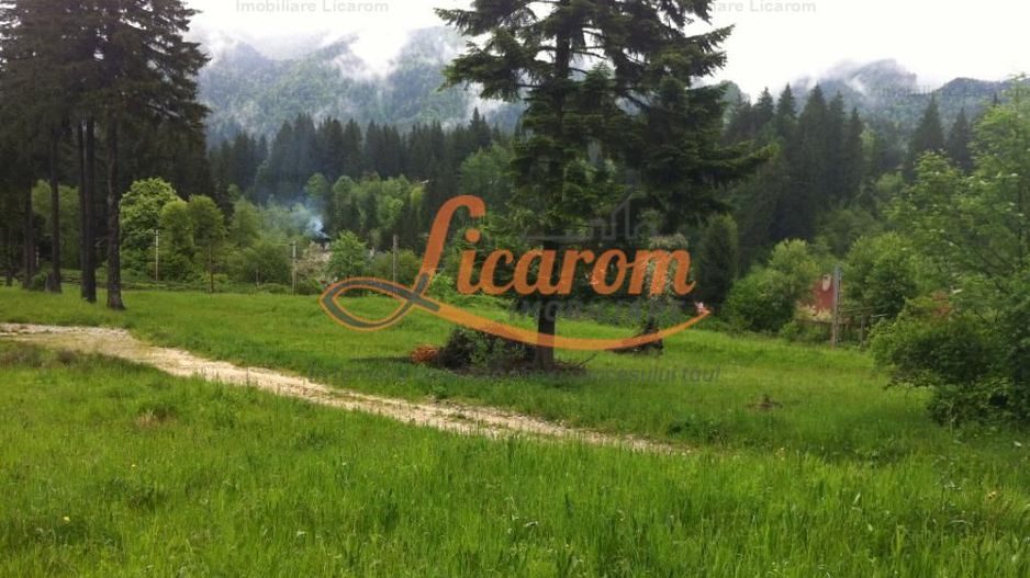 Teren intravilan Cotul Donului,pretabil Hotel/pensiune. - Poză 4