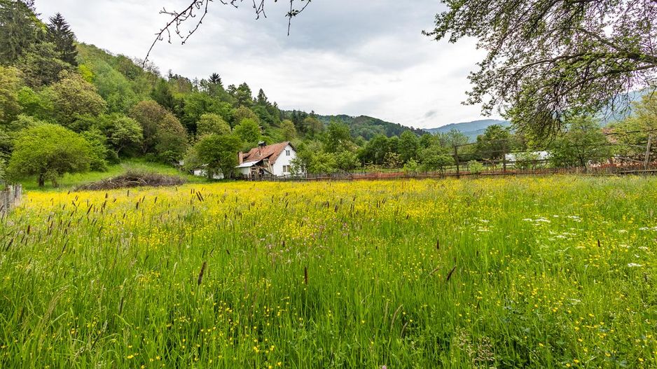 Casa traditionala + 8.500 mp teren, intravilan, Sinca Noua, Brasov - Poză 14