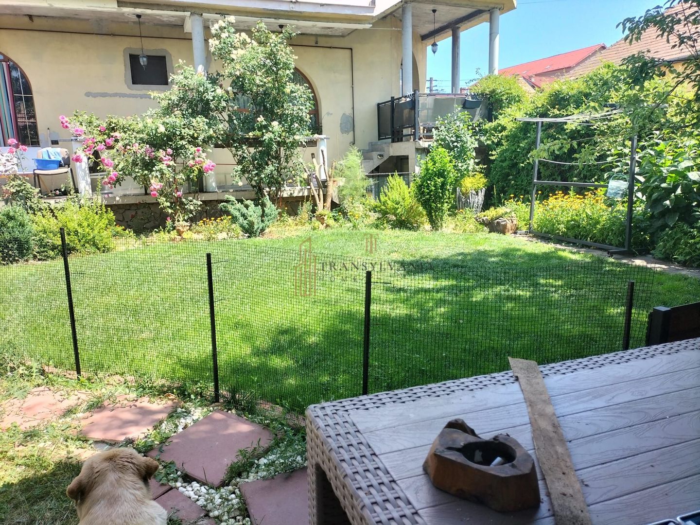 Casa in zona ultracentrala in orasul Blaj - Poză 7