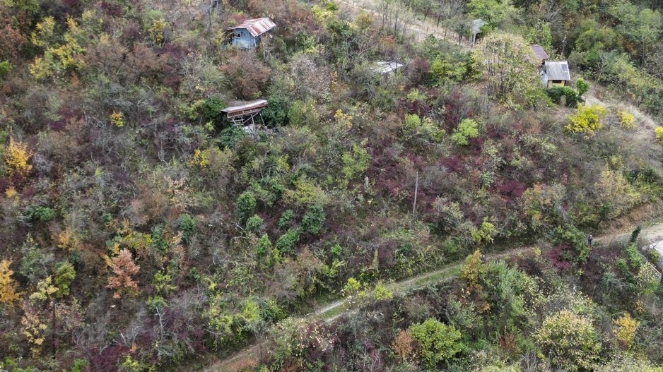 Teren 18,300mp Ghioroc - Poză 8