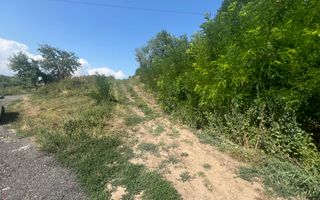 Teren Intravilan |5.000 MPU | Șura-Mare | - Poză 9