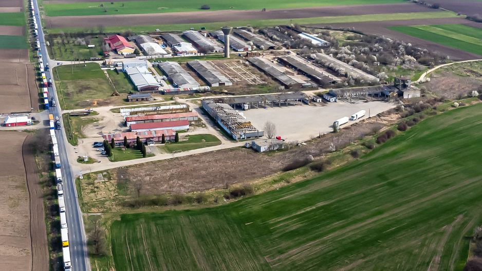 4,2 ha Teren DN7 Nădlac pentru Parc Logistic - Poză 6