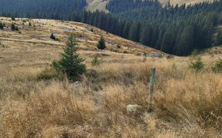 Teren de vanzare in Horezu/Bolca Pietrele Scrise/Valcea - Poză 1