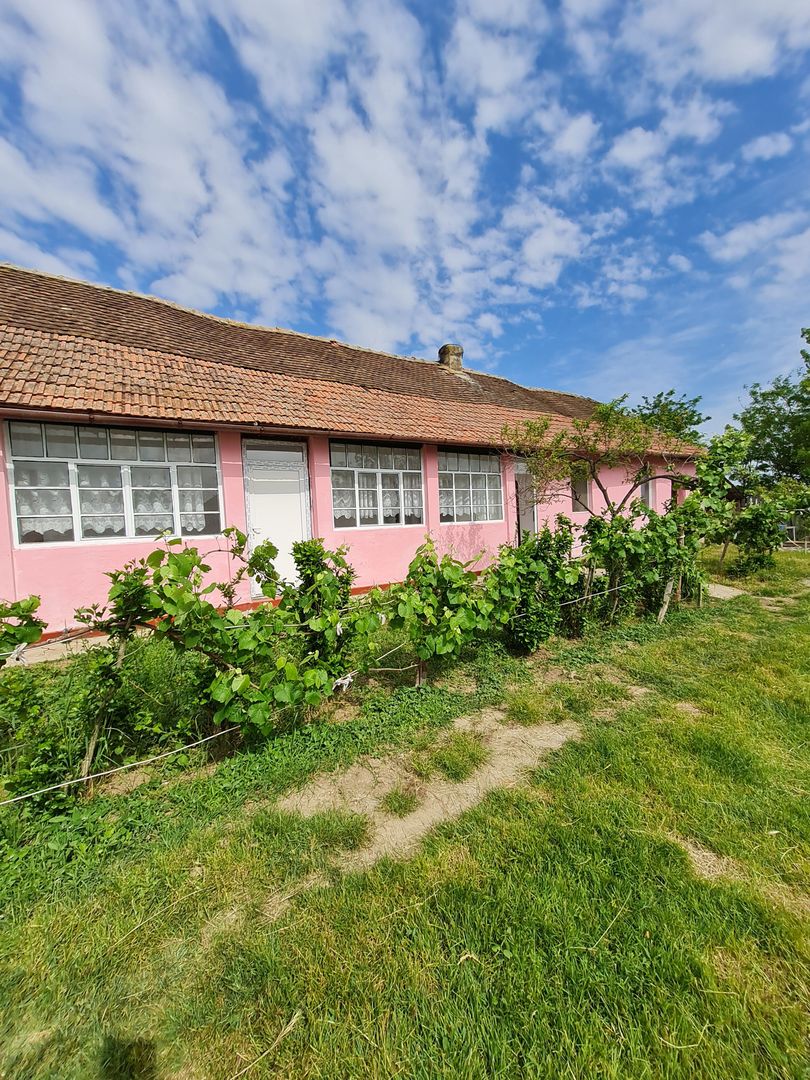 Casa nemțească cu teren generos - Poză 16